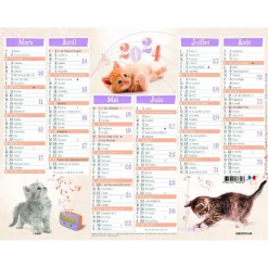 Calendrier Chatons - 7 mois par face - 21 x 26,5 cm - Oberthur