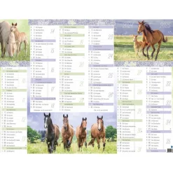 Calendrier Cheval - 6 mois par face - 21 x 26,5 cm - Oberthur