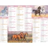 Calendrier Cheval - 6 mois par face - 21 x 26,5 cm - Oberthur