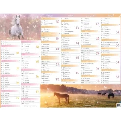 Calendrier Cheval - 7 mois par face - 32 x 42 cm - Oberthur