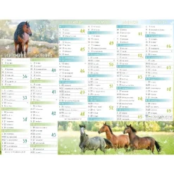 Calendrier Cheval - 7 mois par face - 32 x 42 cm - Oberthur