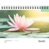 Calendrier chevalet 16x18cm 12 mois Aquarupella - Zen