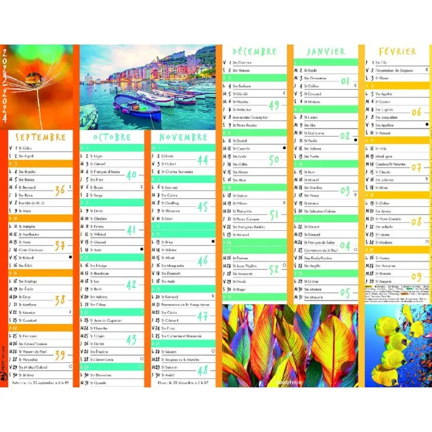 Calendrier Color Story - 7 mois par face - 21 x 26,5 cm - Oberthur