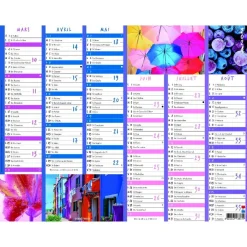 Calendrier Color Story - 7 mois par face - 21 x 26,5 cm - Oberthur