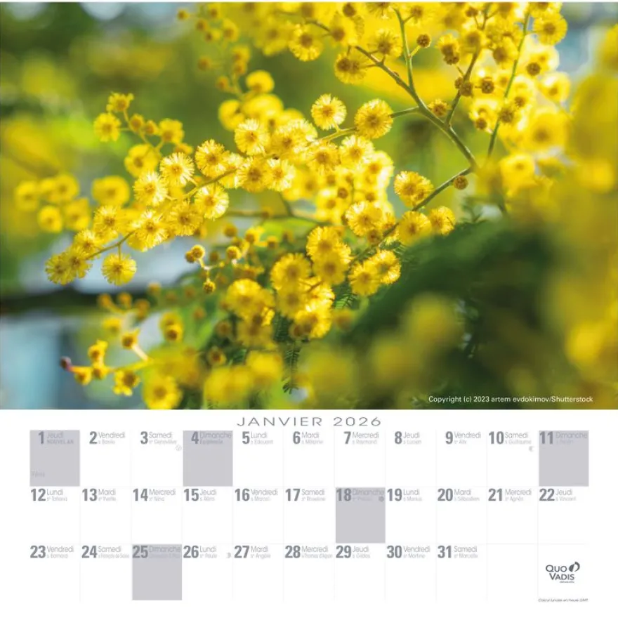 CALENDRIER FEUILLES FR - Fleurs - 30x30 cm - Quo Vadis
