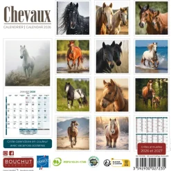 Calendrier illustré BOUCHUT 15 x 15 cm CHEVAL Pefc 70 %