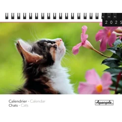 Calendrier mensuel à spirales 16x18 cm - Chats