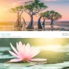 Calendrier mensuel 30x30 cm - 16 mois - Prestige Nature