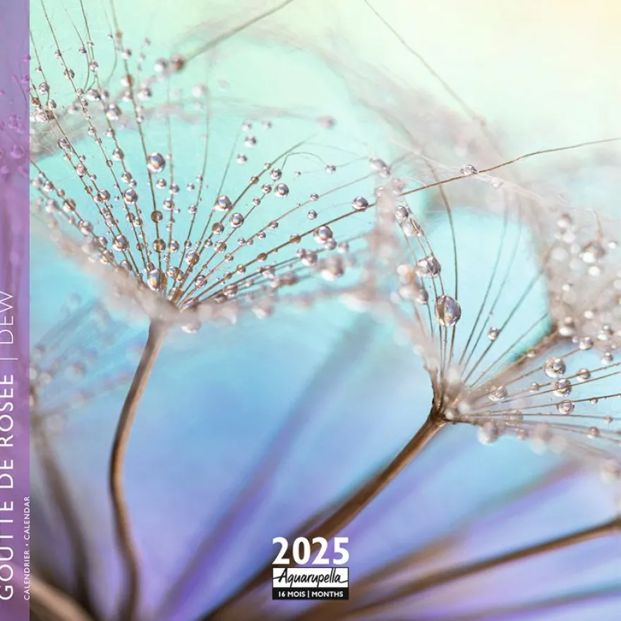 Calendrier mensuel 16x16 cm - 16 mois - Goutte de rosée