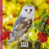 Calendrier mensuel 30x30 cm - 16 mois - Chouettes