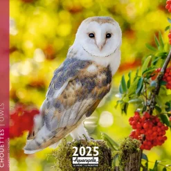 Calendrier mensuel 30x30 cm - 16 mois - Chouettes