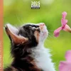 Calendrier mensuel 16x16 cm - 16 mois - Chatons