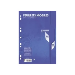 Calligraphe - 100 feuillets mobiles A4 - Grands carreaux (Seyes) - Perforées