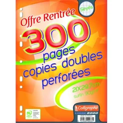 Calligraphe - copies doubles sous film -300 pages - A4 - grands carreaux (Seyes) - perforées