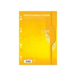 Calligraphe - feuilles simples A4 - 100 pages - grands carreaux (Seyes) - perforées - jaune