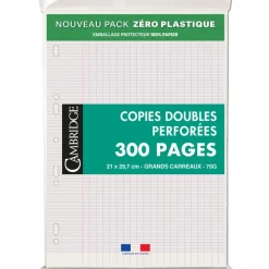 Cambridge - copies doubles - 300 pages - A4 - grands carreaux (Seyes) - perforées