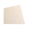 Canson - Carton bois - 60 x 80 cm - 1210 g/m²