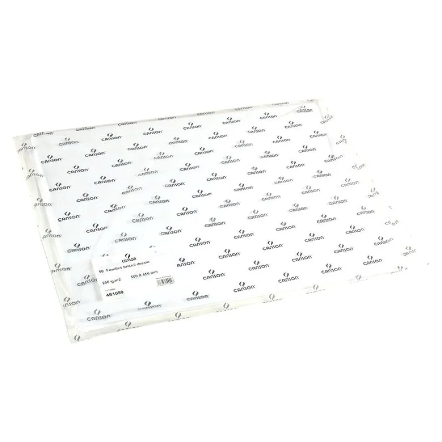 Canson Bristol - Papier à dessin - feuille 50 x 65 cm - 250 g/m² - blanc