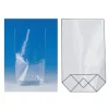 Carton Service - Pochette d'emballage - 12 x 20 cm - limpide - pack de 100