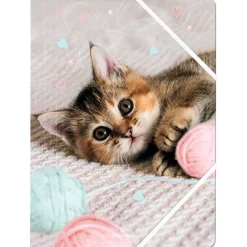 Chemise A4 chaton tendre - 24 x 32 cm - Oberthur