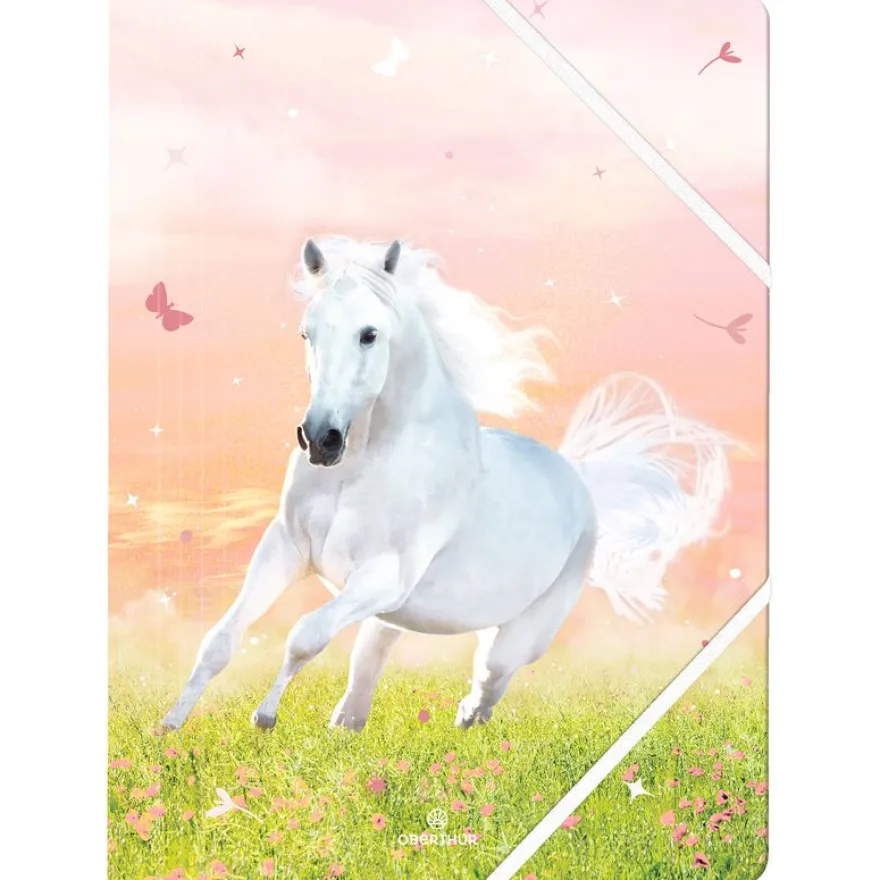 Chemise A4 Cheval - 24 x 32 cm - Oberthur