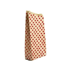 Clairefontaine - 50 Pochettes kraft à pois - 21 cm x 7 cm x 37 cm
