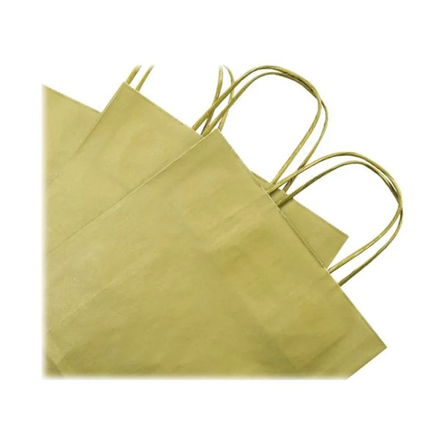 Clairefontaine - 25 Sacs cadeau kraft - 16 cm x 8 cm x 21 cm - or