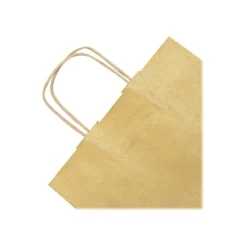 Clairefontaine - 25 Sacs cadeau kraft - 22 cm x 10 cm x 27 cm - or