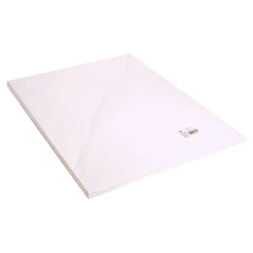 Clairefontaine - Carton mousse - 6 feuilles de 50 x 65 cm - 3 mm - blanc