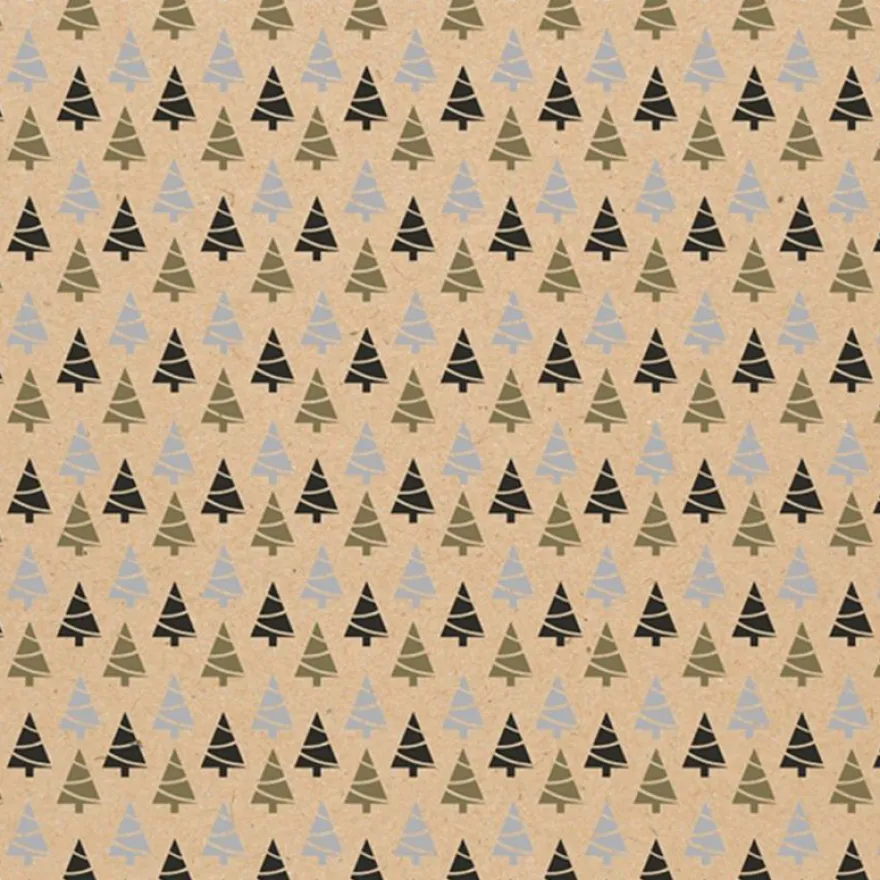 Clairefontaine - Papier cadeau - 70 cm x 2 m - 60 g/m² - différents motifs Noël