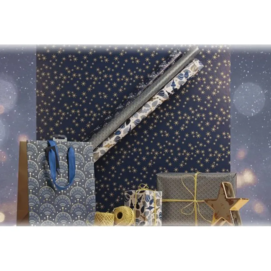 Clairefontaine Excellia Christmas - Papier cadeau - 70 cm x 2 m - différents modèles disponibles (nuit étoilée)