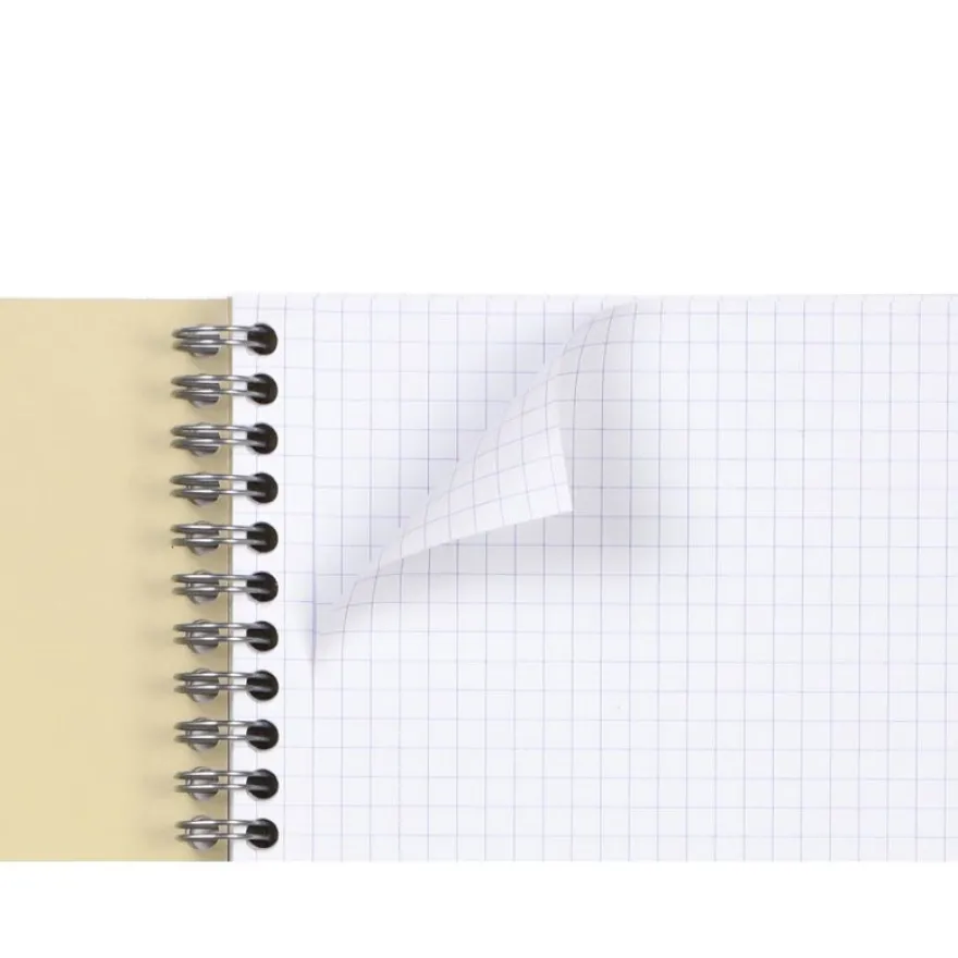 Clairefontaine Forever - Cahier à spirale A4 (21x29,7 cm) - 120 pages - petits carreaux (5x5 mm)