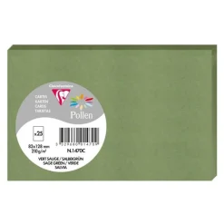 Clairefontaine Pollen - Papier - 82 x 128 mm - 25 feuilles - salvia - 210 g/m²