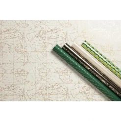 Clairefontaine Premium - Papier cadeau - 70 cm x 2 m - 80 g/m² - collection travel