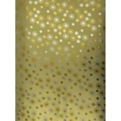 Clairefontaine Premium Max & me - Papier cadeau - 70 cm x 2 m - différents modèles disponibles