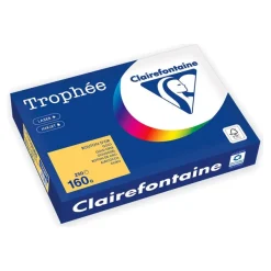 Clairefontaine Trophée - Papier - or - A4 (210 x 297 mm) - 160 g/m² - Ramette de 250 feuilles