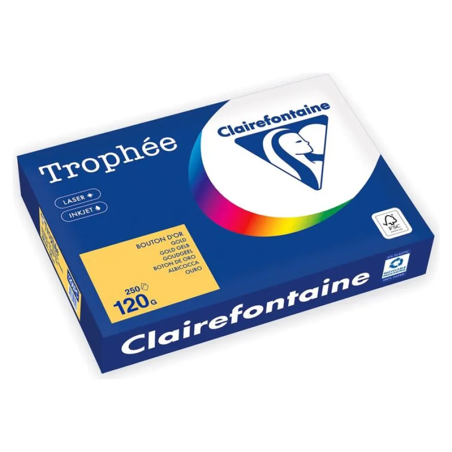 Clairefontaine Trophée - Papier - or - A4 (210 x 297 mm) - 120 g/m² - Ramette de 250 feuilles