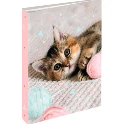Classeur A4 dos 40 chaton tendre - 25 x 32 cm - Oberthur