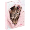 Classeur A4 dos 40 chaton tendre duo - 25 x 32 cm - Oberthur