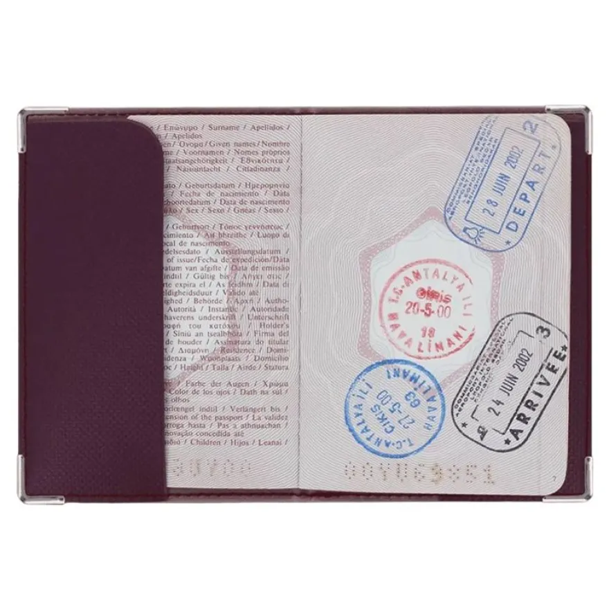 Color Pop - Etui passeport blindé silver