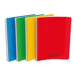Conquérant Classique - Cahier polypro à spirale A4 (21x29,7cm) - 100 pages - petits carreaux (5x5 mm) - disponible dans différentes couleurs