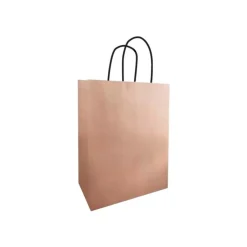 Créastyl - 50 Sacs cadeau medium - 25 cm x 12 cm x 31 cm - cuivre