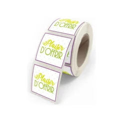 Créastyl Simple - Étiquettes cadeau "plaisir d'offrir" - 4 cm x 3.5 cm
