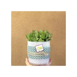 Créastyl Simple - Étiquettes cadeau "plaisir d'offrir" - 4 cm x 3.5 cm