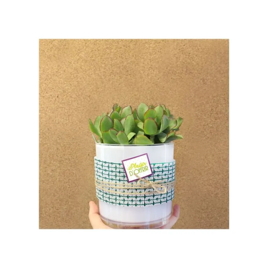 Créastyl Simple - Étiquettes cadeau "plaisir d'offrir" - 4 cm x 3.5 cm