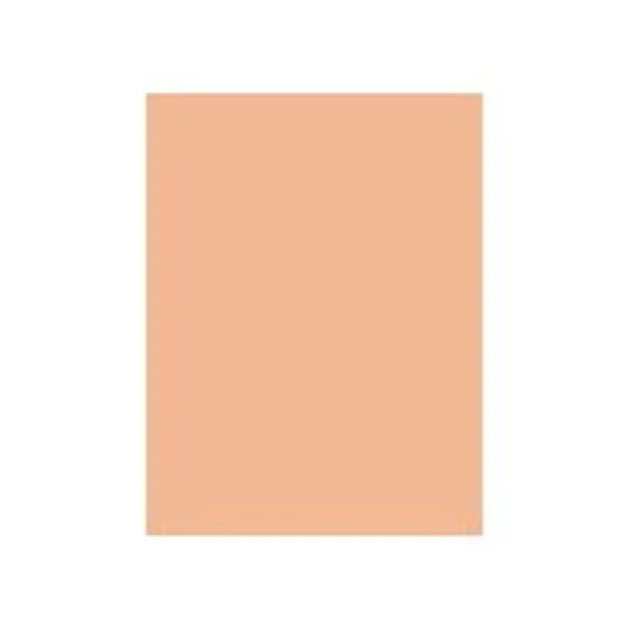 Daler-Rowney Graduate - Peinture acrylique - 120 ml - rose pêche