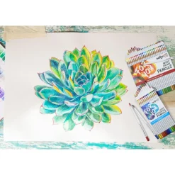 Darwi For You - Boite de 12 crayons de couleur aquarellables