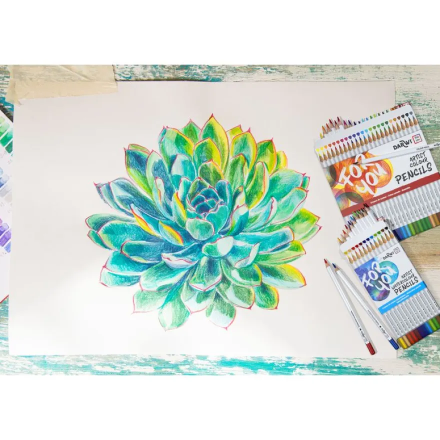 Darwi For You - Boite de 12 crayons de couleur aquarellables