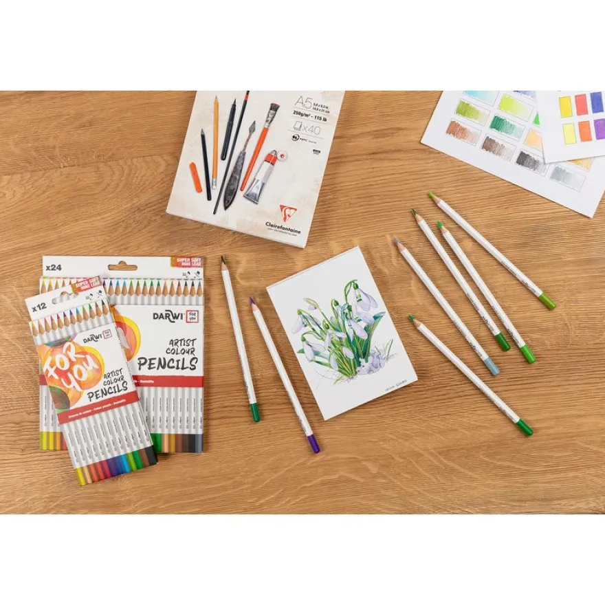 Darwi For You - Boite de 12 crayons de couleur Beaux-Arts
