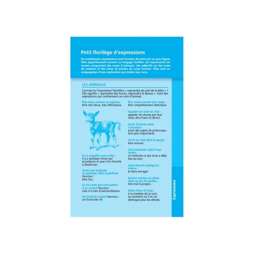 Dictionnaire Larousse Junior Poche Plus 7-11 ans CE-CM